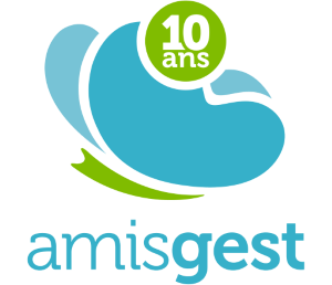 Amisgest Technologie inc.